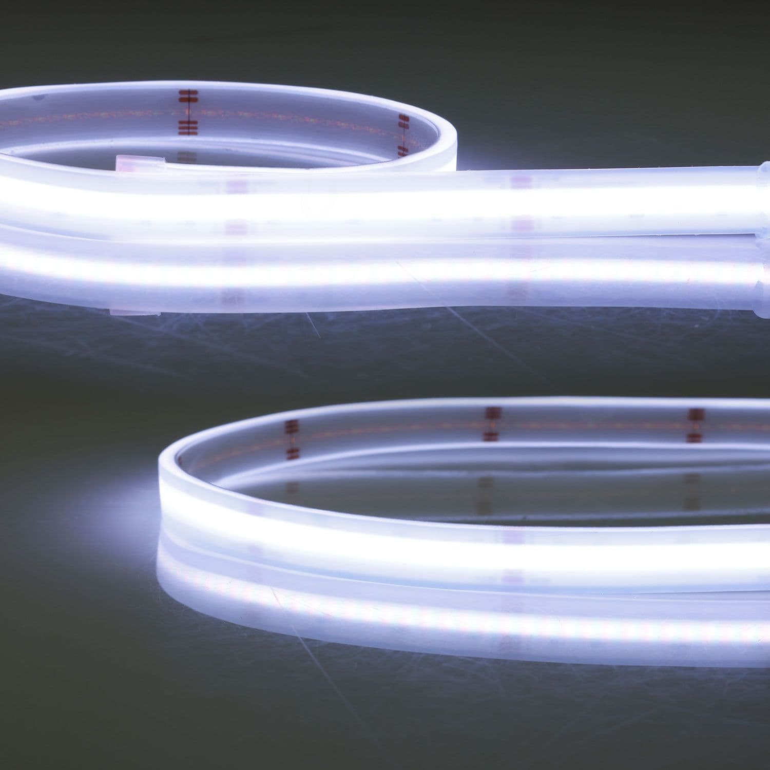 LED HT RGB+WW COB Flexband für bis zu 100°C Umgebungstemp., 24V DC, 19 W, IP68, 5m Rll, 896 LED/m